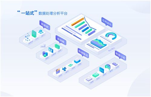 國(guó)內(nèi)數(shù)據(jù)可視化與數(shù)據(jù)處理服務(wù)推薦公司