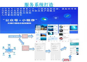 廣州市白云區小程序開發公司
