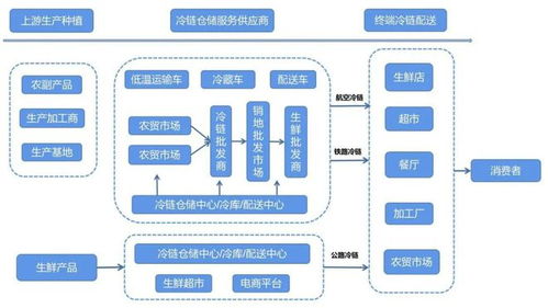 農(nóng)產(chǎn)品冷鏈物流發(fā)展淺析,價(jià)值鏈再造