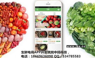 臨沂軟件開發公司解析生鮮app定制開發必須具備的功能