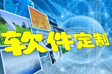 系統/軟件開發